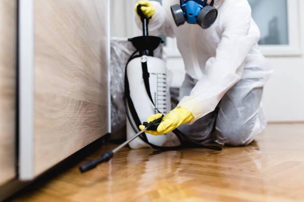Trusted New Hampton, IA Pest Control Experts