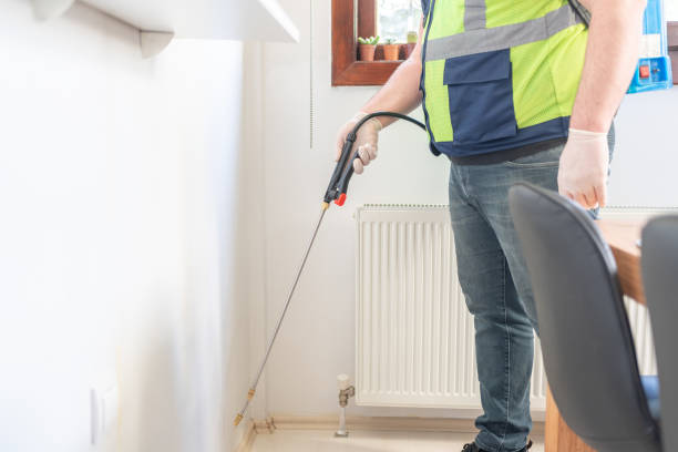 Best Flea Control Services  in New Hampton, IA