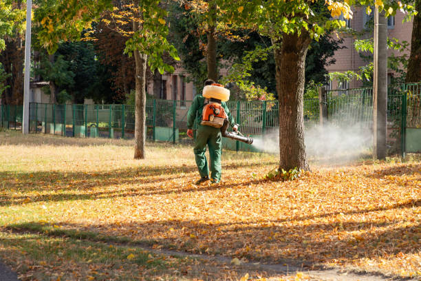 Best Pest Removal Services  in New Hampton, IA