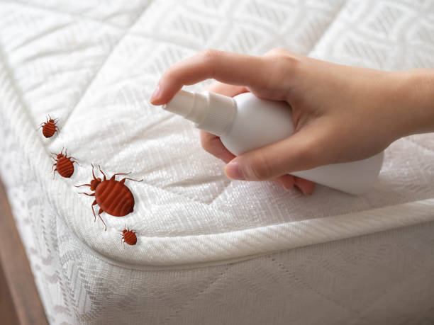 Best Best Pest Control Companies  in New Hampton, IA