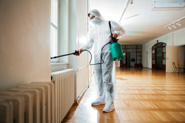 Best Wasp Removal Services  in New Hampton, IA