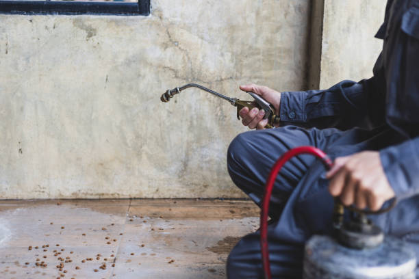 Best Affordable Pest Control Services  in New Hampton, IA