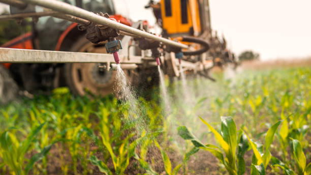 Best Pest Control Treatment  in New Hampton, IA