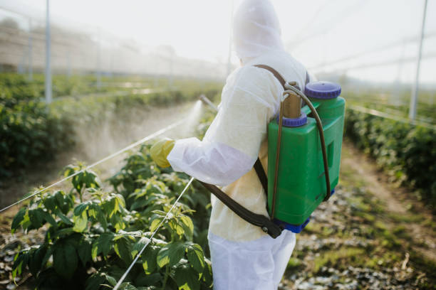 Pest Prevention Services in New Hampton, IA